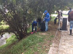 Semana Ambiental en La Calera