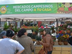 Mercado campesino en Facatativá: bueno, bonito y barato