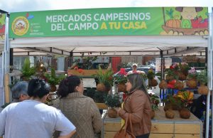 Mercado campesino en Facatativá: bueno, bonito y barato