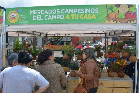 Mercado campesino en Facatativá: bueno, bonito y barato