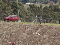Proyecto de ley para adjudicación de baldíos en reservas forestales