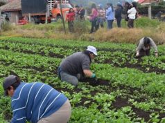 Capitalización al sector rural cundinamarqués