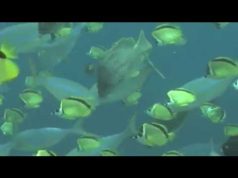 Más de la quinta parte del país son áreas protegidas