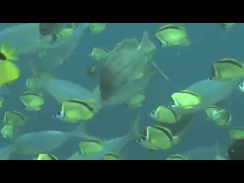 Más de la quinta parte del país son áreas protegidas