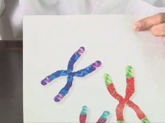 Medicina antienvejecimiento