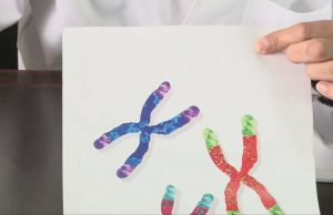 Medicina antienvejecimiento