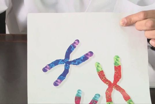 Medicina antienvejecimiento