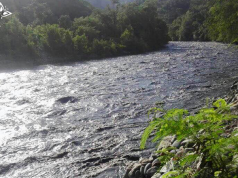 Niveles del Río Bogotá no reportan riesgos por desbordamientos