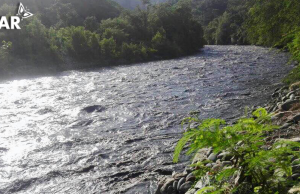 Niveles del Río Bogotá no reportan riesgos por desbordamientos