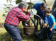 Codensa, CAR y Alcaldía Municipal reforestarán zona del Río Soacha