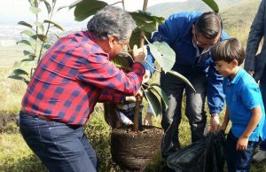 Codensa, CAR y Alcaldía Municipal reforestarán zona del Río Soacha