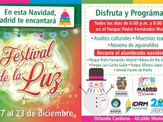 Con el Festival de la Luz, comenzó la Navidad en Madrid