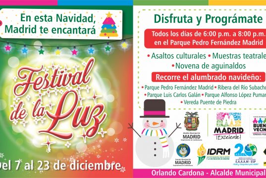 Con el Festival de la Luz, comenzó la Navidad en Madrid