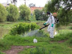Concluye segunda fase de fumigación en sectores de Madrid