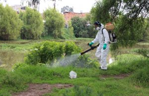 Concluye segunda fase de fumigación en sectores de Madrid