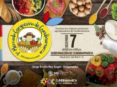 Mercado campesino llega a La Plaza de la Paz de la Gobernación