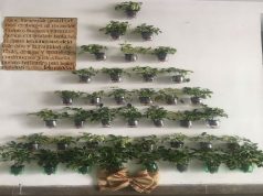 Súmate a una Navidad amigable y responsable con el medio ambiente