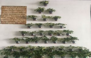 Súmate a una Navidad amigable y responsable con el medio ambiente