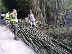 Operativos de registro y control ambiental en Gualivá