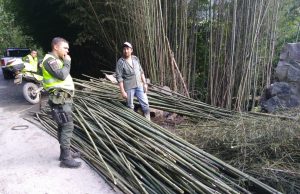 Operativos de registro y control ambiental en Gualivá