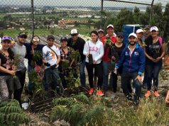 Primeros en medir, reducir y compensar la huella de carbono