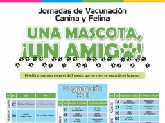 Administración Municipal de Madrid anuncia cronograma de vacunación canina y felina para 2018