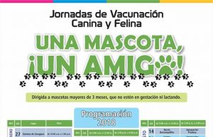Administración Municipal de Madrid anuncia cronograma de vacunación canina y felina para 2018
