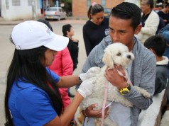 Mascotas fueron vacunadas en el barrio María paula en Facatativá