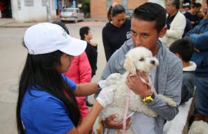 Mascotas fueron vacunadas en el barrio María paula en Facatativá