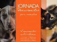 Vacune sus mascotas durante el mes de febrero en Facatativá