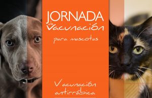 Vacune sus mascotas durante el mes de febrero en Facatativá