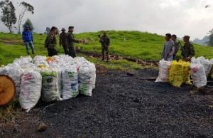Quema ilegal de madera en Sabana Occidente