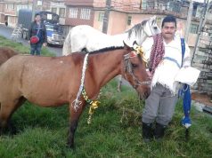 Vehículos de tracción animal serán cambiados por automotores en Soacha.