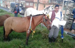 Vehículos de tracción animal serán cambiados por automotores en Soacha.