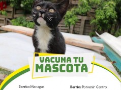 Importante jornada de vacunación se realizará en Mosquera