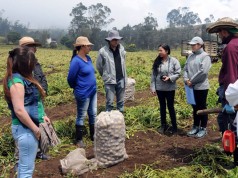 DNP premiará al gobierno cundinamarqués