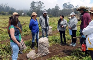DNP premiará al gobierno cundinamarqués