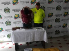 Policía descubre cultivo de marihuana en Chía