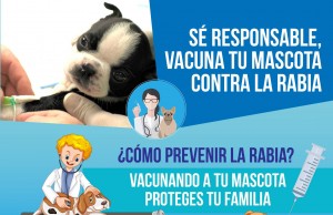 Vacuna contra la rabia en el municipio de Funza