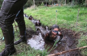 Innovadoras formas para impulsar el servicio social en los jóvenes