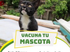 Nueva jornada de vacunación para las mascotas en el municipio de Mosquera
