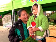 “Cambio Verde” en el municipio de Soacha