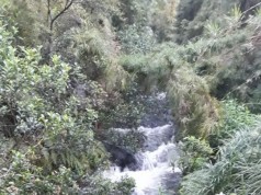 Nuevas emergencias por fuertes lluvias en el municipio de Facatativá