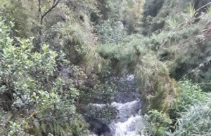 Nuevas emergencias por fuertes lluvias en el municipio de Facatativá