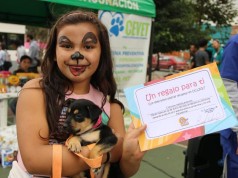 Mascotas y sus familias asistieron a la jornada de bienestar animal