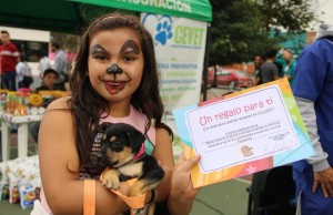 Mascotas y sus familias asistieron a la jornada de bienestar animal