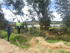 CAR Cundinamarca, incauta 15.9 metros cúbicos de madera de Eucalipto