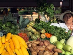 Mercados Campesinos llega a la Gobernación de Cundinamarca