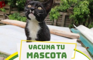 Jornadas de vacunación en el municipio de Mosquera