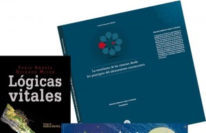 Esté es el potencial de los jóvenes de Soacha